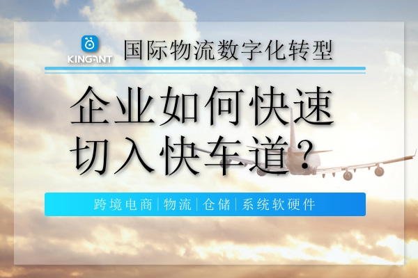 金蟻云 集運物流 國際物流系統(tǒng) 國際物流數(shù)字化轉(zhuǎn)型,企業(yè)如何快速切入快車道