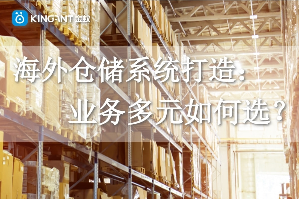 海外倉儲(chǔ)系統(tǒng)打造：業(yè)務(wù)多元如何選？