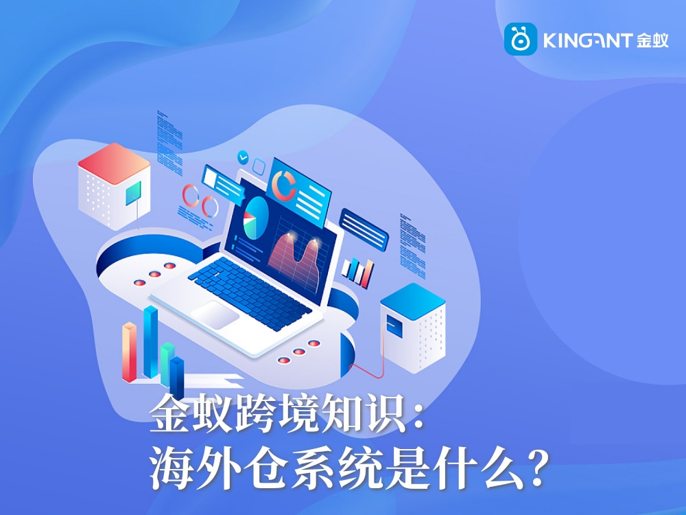 海外倉系統(tǒng)是什么？