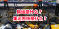 集運是什么？ 集運系統(tǒng)是什么？